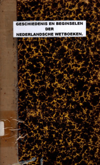 GESCHIEDENIS EN BEGINSELEN DER NEDERLANDSCHE WETBOEKEN (4016)