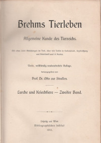 BREHMS TIERLEBEN LURCHE UND KRIECHTIERE-ZWEITER BAND