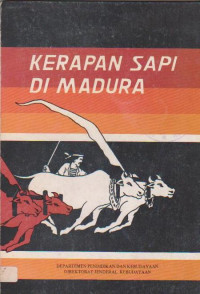 Karapan Sapi Di Madura